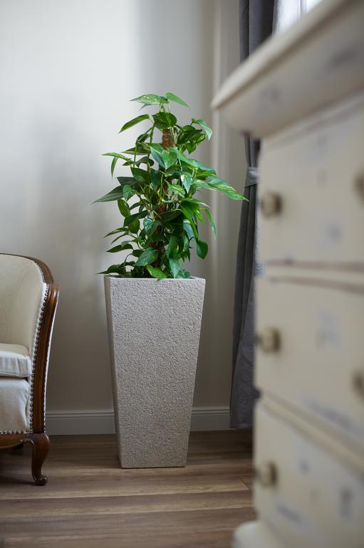 Brody Apartman 埃格尔 外观 照片